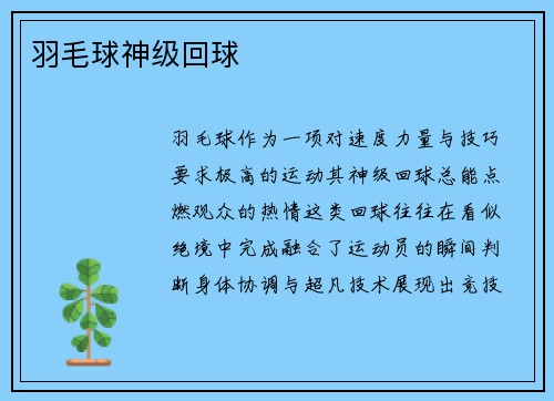 羽毛球神级回球